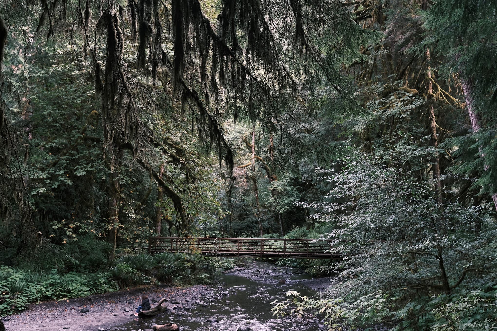 Olympic National Park, Washington, USA