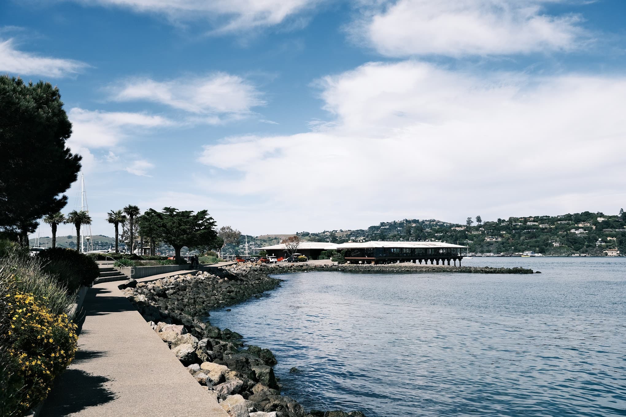 waterfront, sausalito, usa