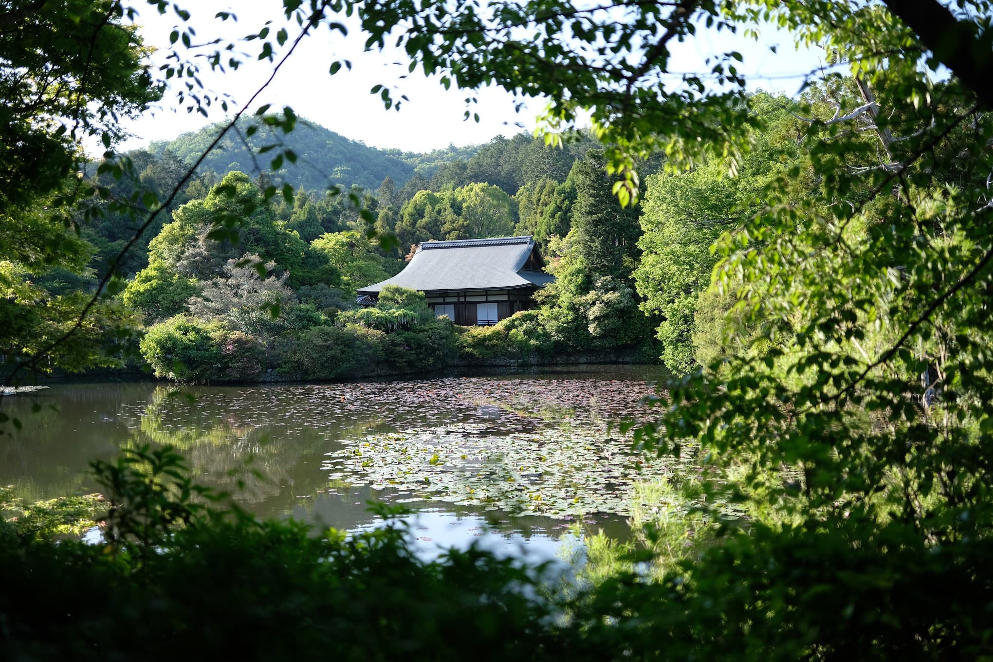 ryoanji temple, kyoto, japan