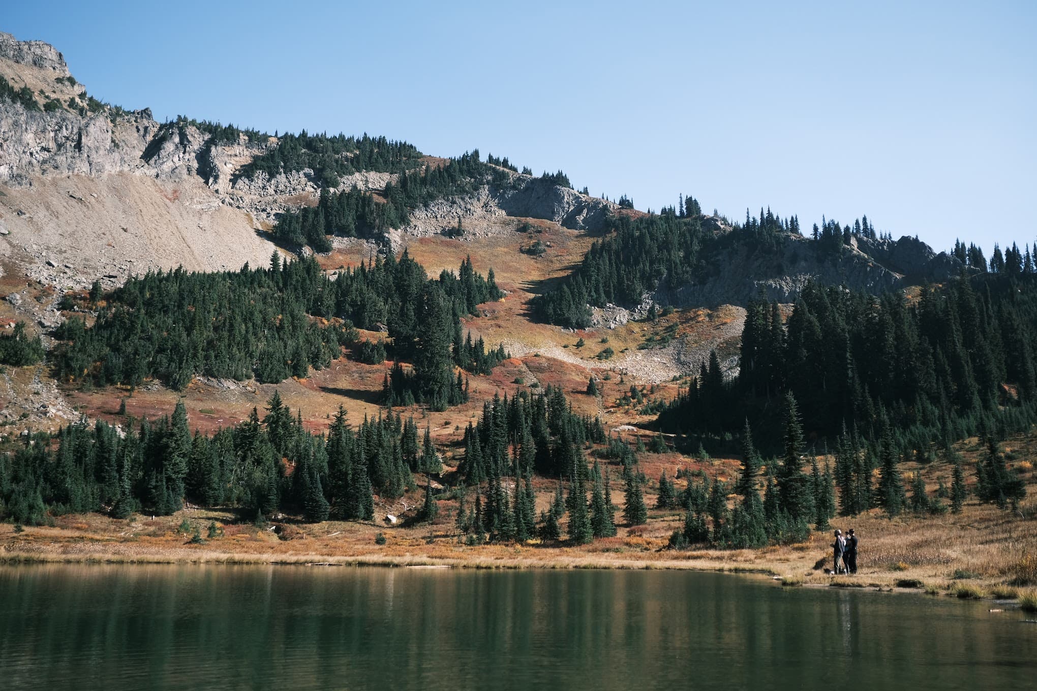 mt. rainier national park, washington, usa